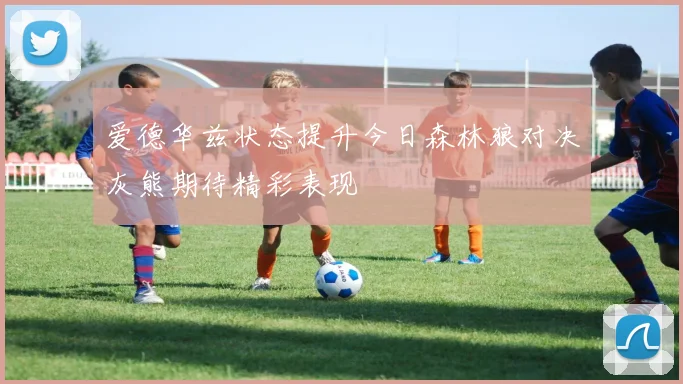 爱德华兹状态提升今日森林狼对决灰熊期待精彩表现