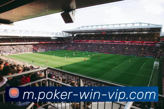 App Interface Preview